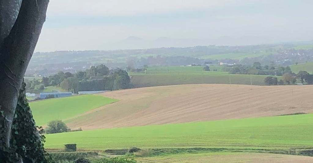 Terrorism in Northern Ireland